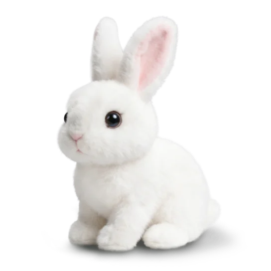 Hoppsy image